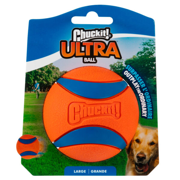 pelota