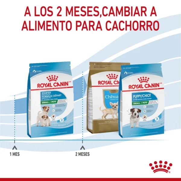 Royal Canin Small Starter Mother & BabyDog Alimento Seco para Gestación/ Lactancia o Destete para Perro, 1.14 kg - Image 8
