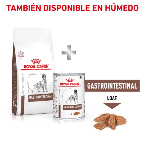 Royal Canin Prescripción Alimento Seco Gastrointestinal Alto en Energía para Perro Adulto, 10 kg - Image 7