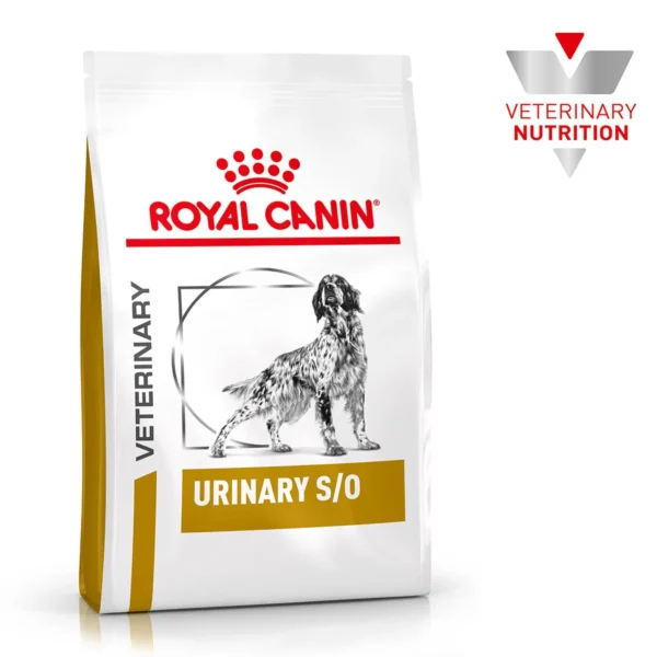 croquetas para perros adultos con enfermedades urinarias