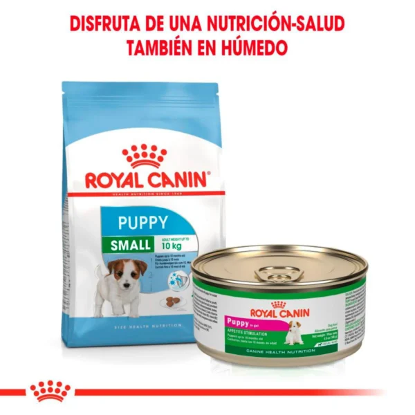 Royal Canin Alimento Seco para Cachorro Raza Pequeña Receta Pollo, 5.9 kg - Image 10
