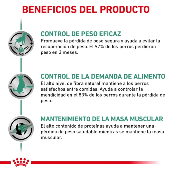 Royal Canin Prescripción Alimento Seco Soporte de Saciedad para Perro Adulto Raza Mediana/Grande, 12 kg - Image 3