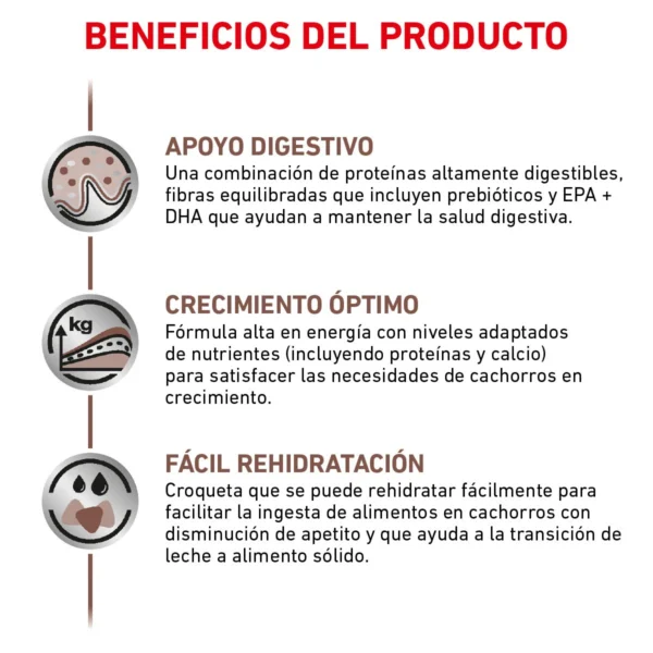 Royal Canin Veterinary Diet Alimento Seco Gastrointestinal para Cachorro, 4 kg - Image 2
