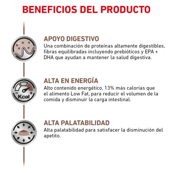 Royal Canin Prescripción Alimento Seco Gastrointestinal Alto en Energía para Perro Adulto, 10 kg - Image 2
