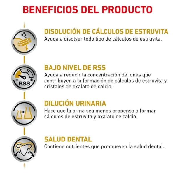 Royal Canin Veterinary Diet Alimento Seco para Tracto Urinario para Perro Adulto Raza Pequeña, 4 kg - Image 2