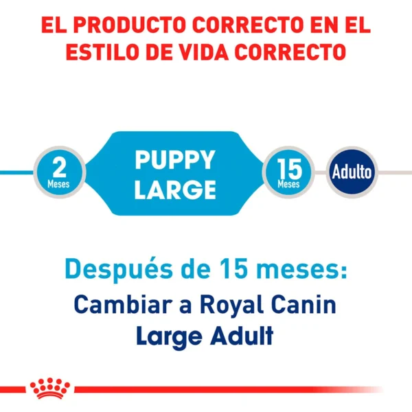 Royal Canin Alimento Seco para Cachorro Raza Grande, 13.6 kg - Image 3