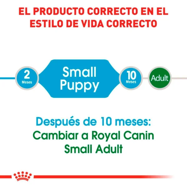 Royal Canin Alimento Seco para Cachorro Raza Pequeña Receta Pollo, 5.9 kg - Image 4