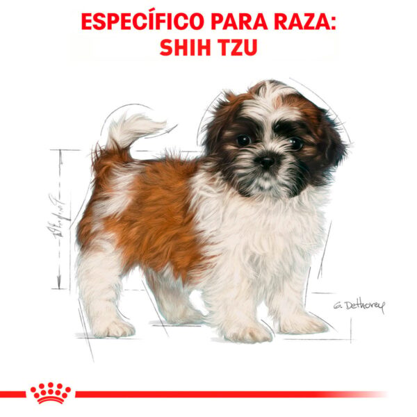 Royal Canin Alimento Seco para Cachorro Raza Shih Tzu, 1.1 kg - Image 7