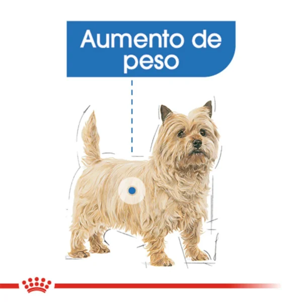 Royal Canin Weight Care Alimento Seco para Perro Adulto Control de Peso Raza Pequeña, 1.1 kg - Image 5