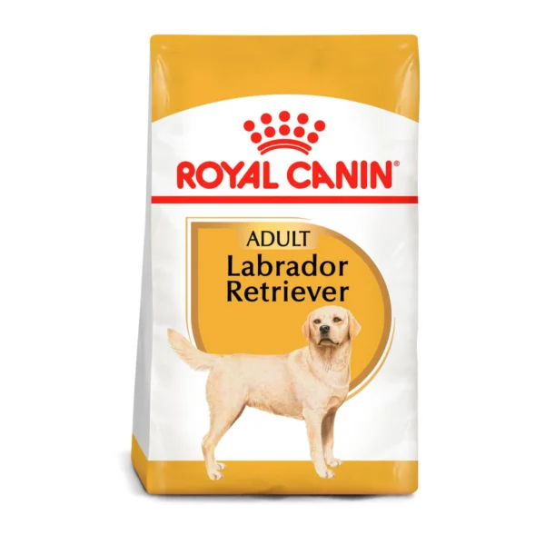 croquetas para labrador