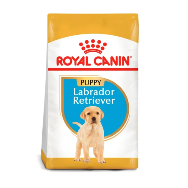 croquetas para cachorros labrador retriever