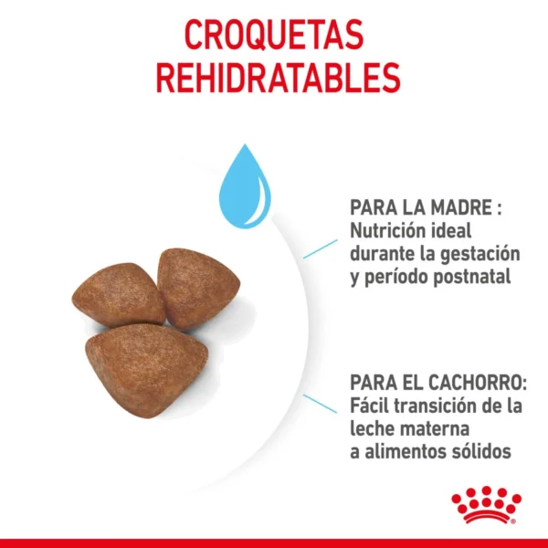 Royal Canin Small Starter Mother & BabyDog Alimento Seco para Gestación/ Lactancia o Destete para Perro, 1.14 kg - Image 2
