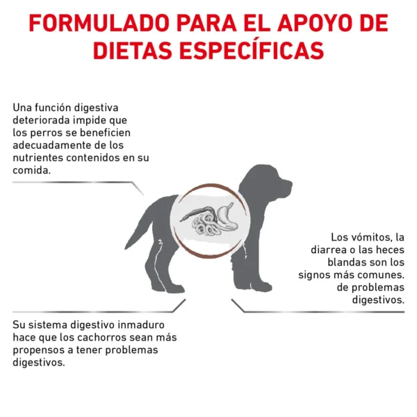 Royal Canin Veterinary Diet Alimento Seco Gastrointestinal para Cachorro, 4 kg - Image 3