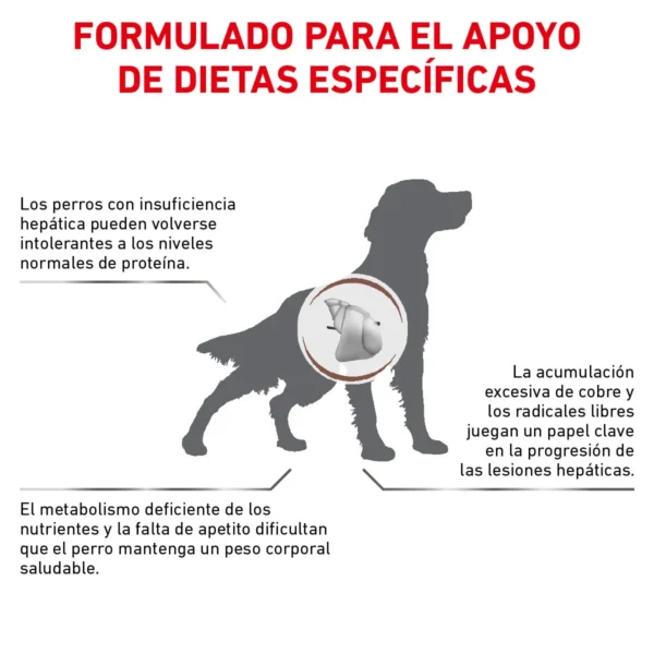 Royal Canin Prescripción Alimento Seco Salud Hepática para Perro Adulto, 3.5 kg - Image 3
