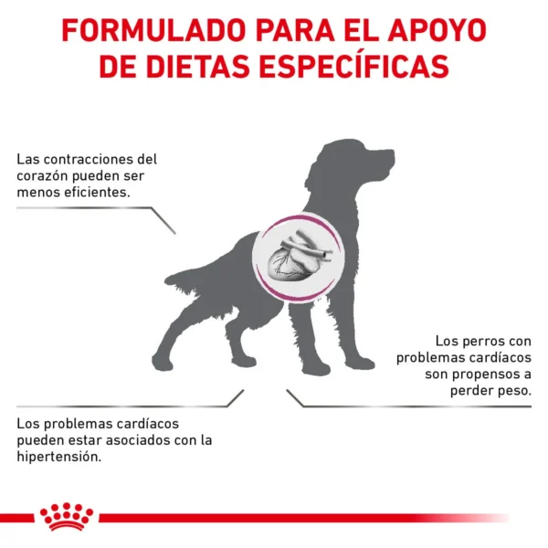 Royal Canin Veterinary Diet Alimento Seco para Salud Cardiaca para Perro Todas las Edades, 8 kg - Image 3