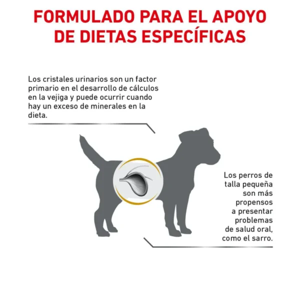 Royal Canin Veterinary Diet Alimento Seco para Tracto Urinario para Perro Adulto Raza Pequeña, 4 kg - Image 3