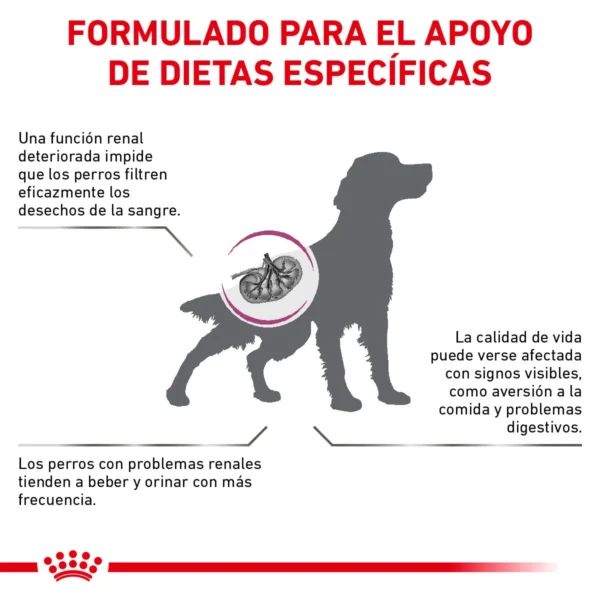 Royal Canin Veterinary Diet Alimento Seco Soporte Renal S Perro Adulto 8 kg - Image 3