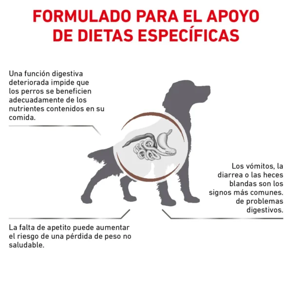 Royal Canin Prescripción Alimento Seco Gastrointestinal Alto en Energía para Perro Adulto, 10 kg - Image 3