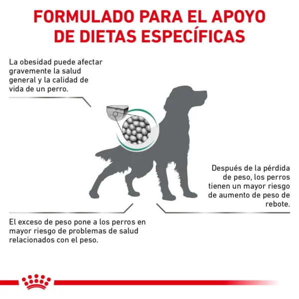Royal Canin Prescripción Alimento Seco Soporte de Saciedad para Perro Adulto Raza Mediana/Grande, 12 kg - Image 2