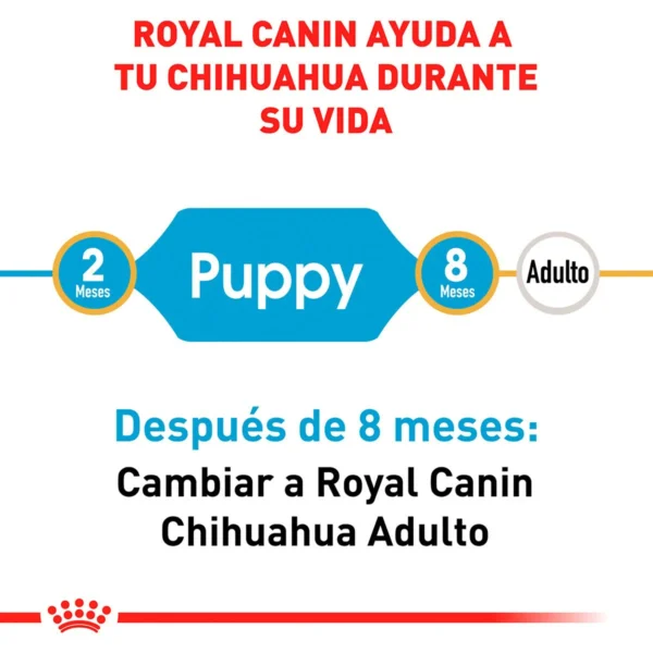 Royal Canin Alimento Seco para Cachorro Raza Chihuahua, 1.1 kg - Image 3