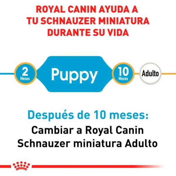 Royal Canin Alimento Seco para Cachorro Raza Schnauzer Miniatura, 1.1 kg - Image 3
