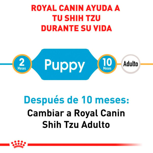 Royal Canin Alimento Seco para Cachorro Raza Shih Tzu, 1.1 kg - Image 3