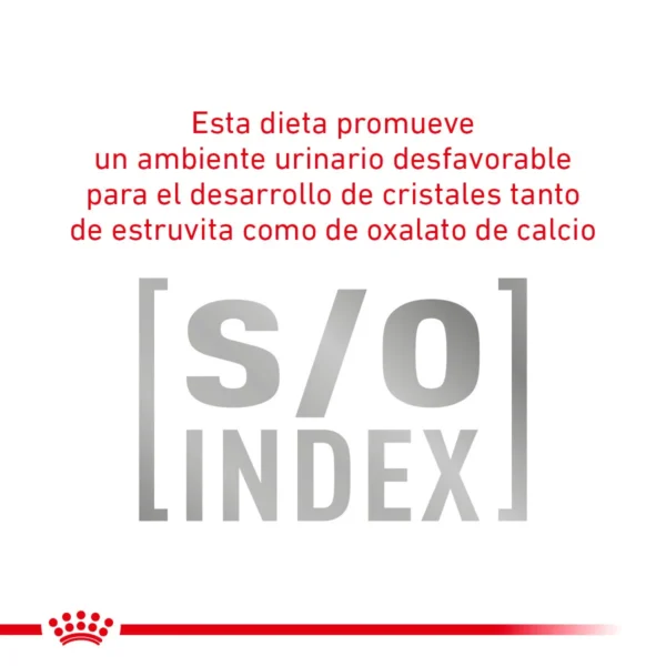 Royal Canin Veterinary Diet Alimento Seco Soporte de Saciedad para Perro Adulto Raza Pequeña, 3 kg - Image 6