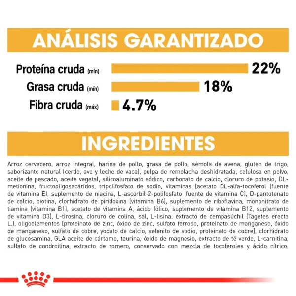 Royal Canin Alimento Seco para Perro Adulto Raza Shih Tzu, 4.5 kg - Image 7