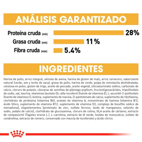 Royal Canin Alimento Seco para perro Adulto Raza Labrador Retriever, 13.6 kg - Image 7