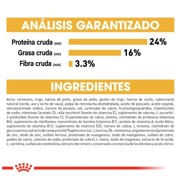 Royal Canin Alimento Seco para Perro Adulto Raza Bulldog Francés, 7.7 kg - Image 7