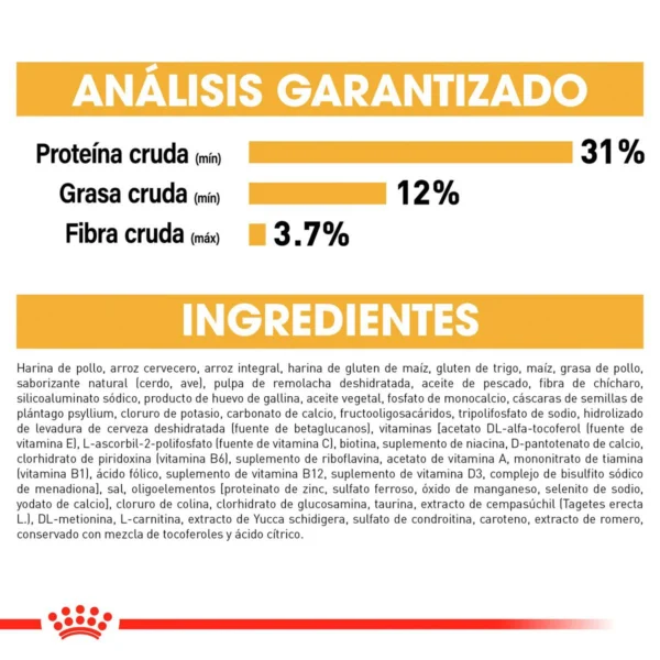 Royal Canin Alimento Seco para Cachorro Raza Labrador Retriever, 13.6 kg - Image 8