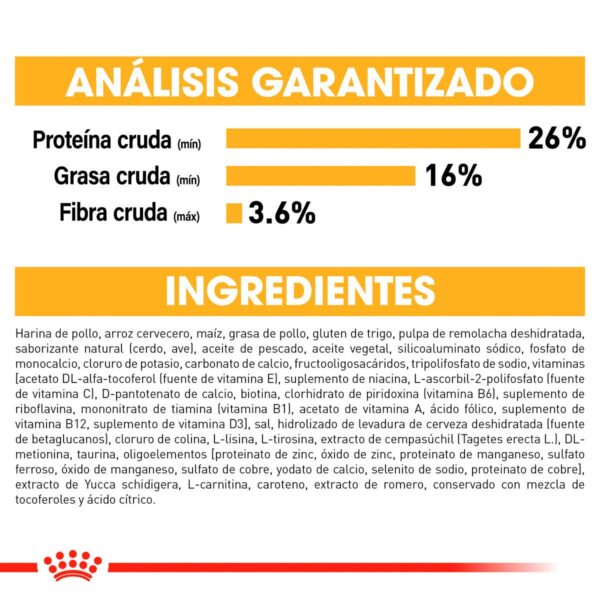 Royal Canin Alimento Seco para Cachorro Raza Shih Tzu, 1.1 kg - Image 8