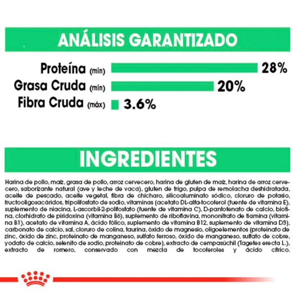Royal Canin Special Alimento Seco para Perro Adulto con Estomago Sensible Raza Pequeña, 1.6 kg - Image 5