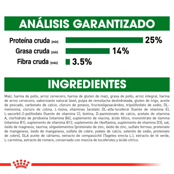 Royal Canin Alimento Seco para Perro Senior Raza Pequeña, 1.1 kg - Image 5