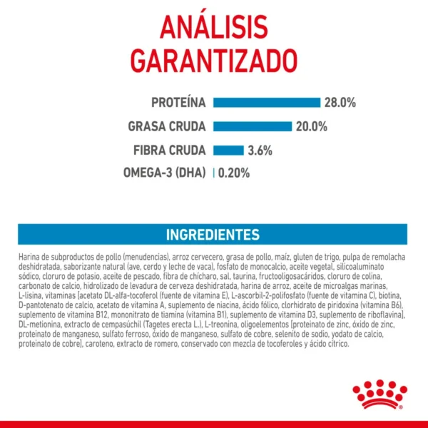 Royal Canin Small Starter Mother & BabyDog Alimento Seco para Gestación/ Lactancia o Destete para Perro, 1.14 kg - Image 10