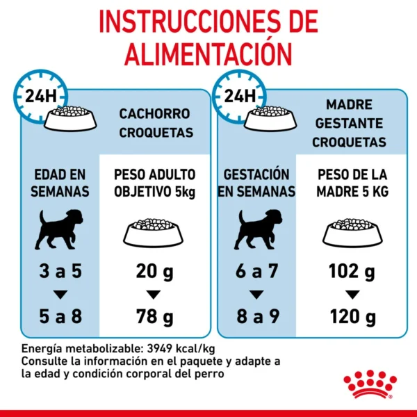 Royal Canin Small Starter Mother & BabyDog Alimento Seco para Gestación/ Lactancia o Destete para Perro, 1.14 kg - Image 4