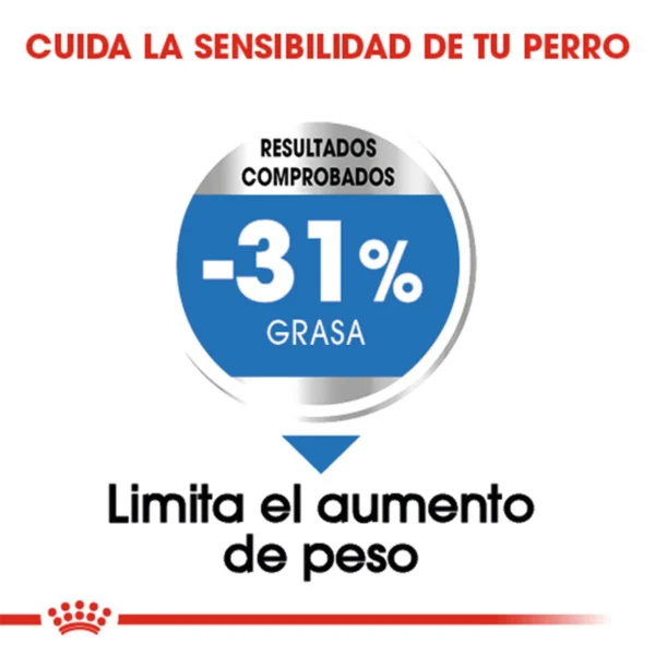Royal Canin Weight Care Alimento Seco para Perro Adulto Control de Peso Raza Pequeña, 1.1 kg - Image 3