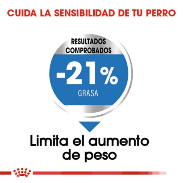 Royal Canin Weight Care Alimento Seco para Perro Adulto Control de Peso Raza Mediana, 13.6 kg - Image 4