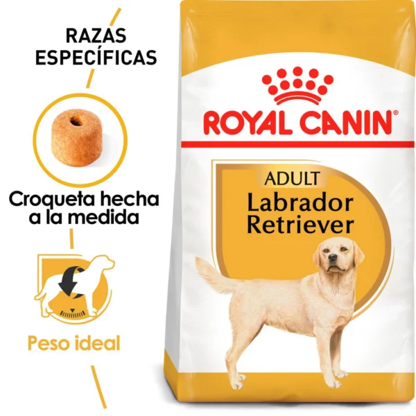 Royal Canin Alimento Seco para perro Adulto Raza Labrador Retriever, 13.6 kg - Image 3