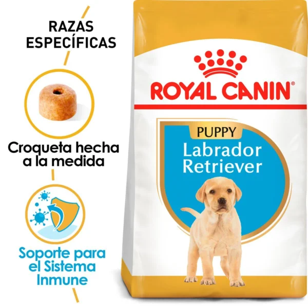 Royal Canin Alimento Seco para Cachorro Raza Labrador Retriever, 13.6 kg - Image 3