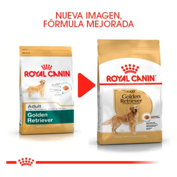 Royal Canin Alimento Seco para Perro Adulto Raza Golden Retriever, 13.6 kg - Image 7