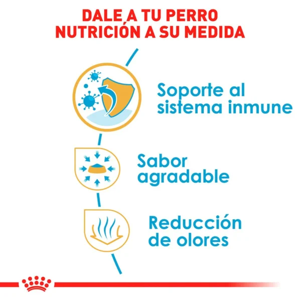 Royal Canin Alimento Seco para Cachorro Raza Chihuahua, 1.1 kg - Image 5