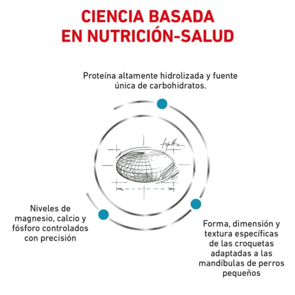 Royal Canin Veterinary Diet Alimento Seco Proteína Hidrolizada para Perro Adulto Raza Pequeña, 3.5 kg - Image 4
