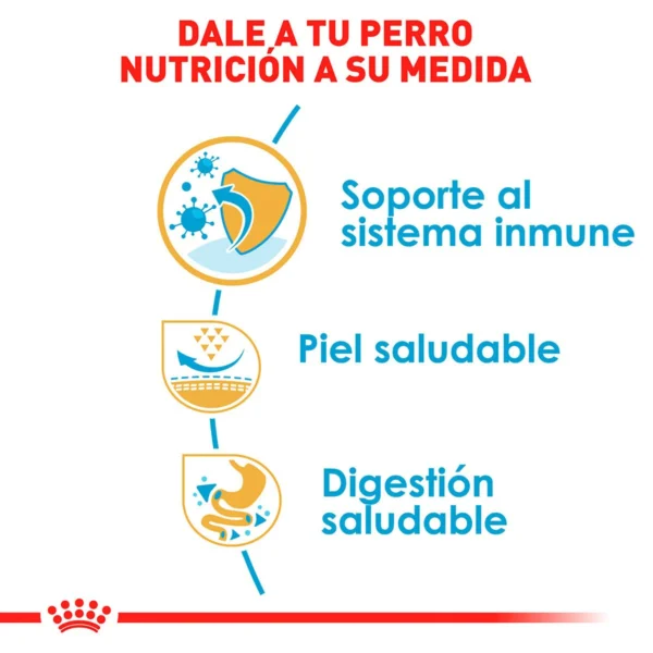 Royal Canin Alimento Seco para Cachorro Raza Pug, 1.1 kg - Image 5