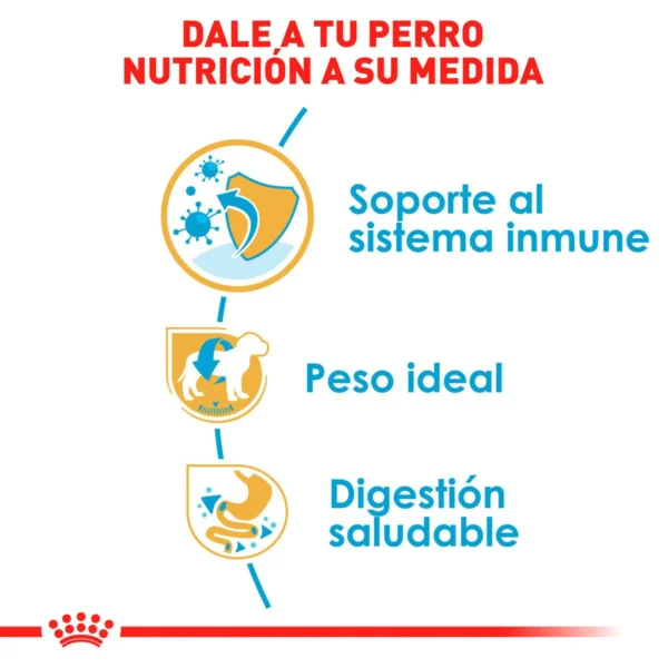 Royal Canin Alimento Seco para Cachorro Raza Schnauzer Miniatura, 1.1 kg - Image 5