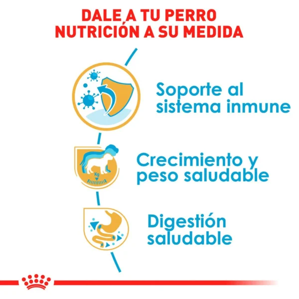 Royal Canin Alimento Seco para Cachorro Raza Labrador Retriever, 13.6 kg - Image 5