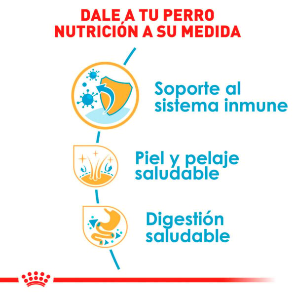 Royal Canin Alimento Seco para Cachorro Raza Shih Tzu, 1.1 kg - Image 5