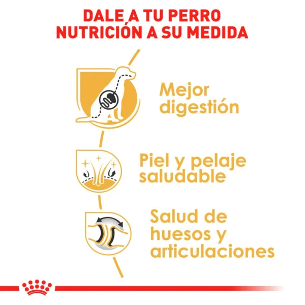 Royal Canin Alimento Seco para perro Adulto Raza Pastor Alemán, 13.6 kg - Image 5
