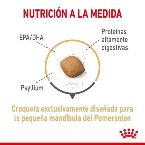 Royal Canin Alimento Seco para Perro Adulto Raza Pomerania, 4.54 kg - Image 2