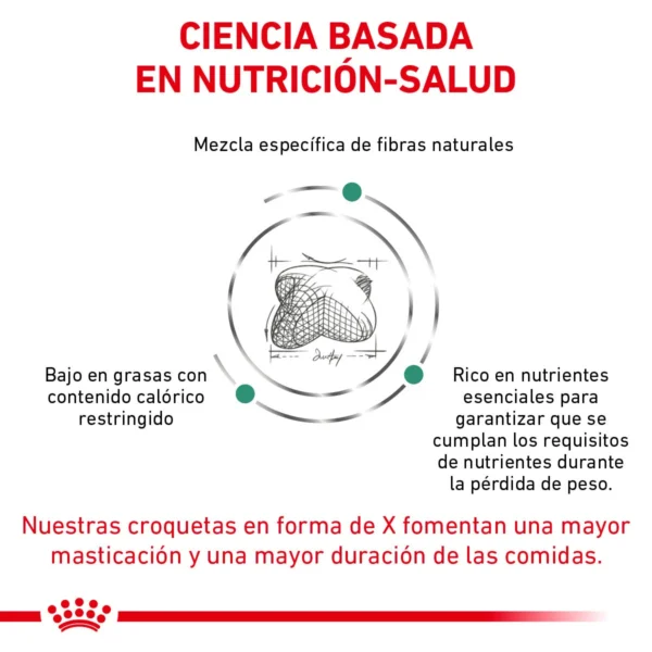 Royal Canin Prescripción Alimento Seco Soporte de Saciedad para Perro Adulto Raza Mediana/Grande, 12 kg - Image 4